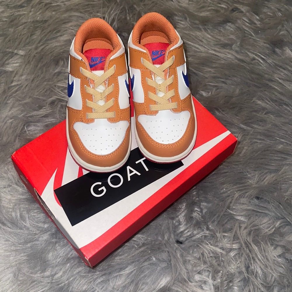 Steph Curry Nike Dunks!